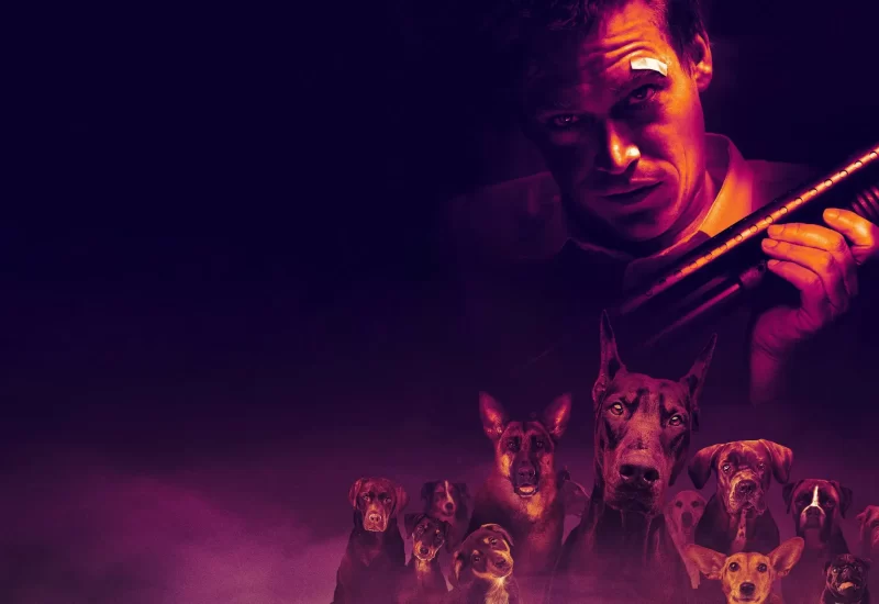 Em "Dogman", Douglas, um homem marcado pela vida e abusado na infância por seu pai violento, encontra sua salvação por meio do amor de seus cães. Em uma jornada para se libertar dos traumas, ele busca encontrar seu próprio caminho enquanto amadurece, descobrindo o amor e o teatro, mas também a injustiça e o desencanto do mundo humano.