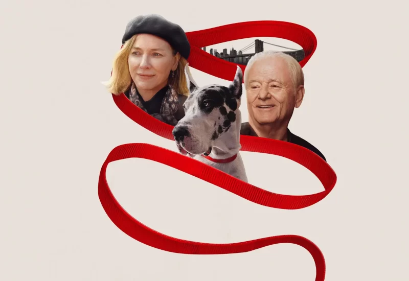 Em "O Amigo", a escritora e professora Iris vê sua vida confortável e solitária em Nova York virar de cabeça para baixo após seu melhor amigo e mentor, Walter, lhe deixar de herança Apollo, seu amado dogue alemão. O cão majestoso e obstinado logo cria problemas práticos para Iris, desde a destruição de móveis até avisos de despejo, bem como problemas existenciais. No entanto, à medida que Iris se vê inesperadamente ligada a Apollo, ela começa a se reconciliar com seu passado e com seu interior criativo nesta história de cura, amor e amizade. Baseado no best-seller "O Amigo".
