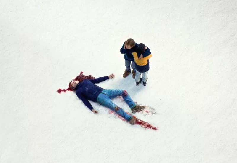 "Anatomia de uma Queda" é um suspense dramático dirigido por Justine Triet, que conta a história de um homem que é encontrado morto na neve do lado de fora do chalé isolado onde morava com sua esposa Sandra, uma escritora alemã, e seu filho de 11 anos com deficiência visual. A investigação conclui se tratar de uma "morte suspeita": é impossível saber ao certo se ele tirou a própria vida ou se foi assassinado. A viúva é indiciada, tendo seu próprio filho no meio do conflito: entre o julgamento e a vida familiar, as dúvidas pesam na relação mãe-filho, pois o menino é a única testemunha do acontecido. Com Sandra Hüller, Swann Arlaud, Milo Machado-Graner, Antoine Reinartz, Samuel Theis, Jehnny Beth, Saadia Bentaïeb, Camille Rutherford e Anne Rotger.