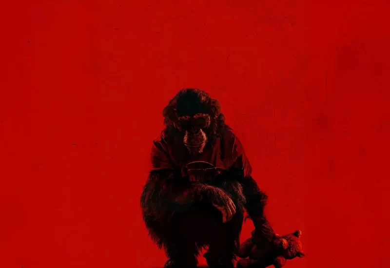 Em "O Primata", ao retornar à sua ilha tropical, Lucy não esperava nada além de praias e melhores amigas — não uma luta pela sobrevivência. Quando o chimpanzé incrivelmente inteligente da família entra em um surto selvagem e raivoso, a noite se transforma em um caos aterrorizante. Sem o pai por perto e sem ajuda a caminho, o paraíso torna-se uma prisão, enquanto Lucy e suas amigas lutam para sobreviver a um predador mortal em quem antes confiavam. Do diretor de Medo Profundo. Com Johnny Sequoyah, Jessica Alexander, Troy Kotsur, Victoria Wyant, Gia Hunter, Benjamin Cheng, Charlie Mann, Tienne Simon e Miguel Hernando Torres Umba.