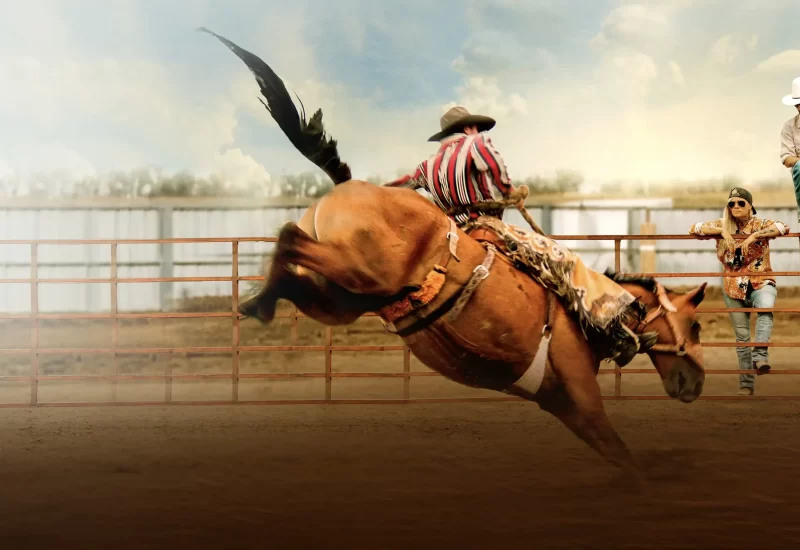"A Leste de Wall" é um retrato autêntico da resiliência feminina no 'Novo Oeste', inspirado e interpretado pelas mulheres e meninas que o vivem. Ambientado nas terras áridas de Dakota do Sul, Tabatha, uma jovem fazendeira rebelde que resgata e revende cavalos, precisa tomar decisões difíceis para lidar com sua família desestruturada, incertezas financeiras e luto não resolvido, enquanto oferece refúgio para um grupo de adolescentes problemáticos da vizinhança. Com Tabatha Zimiga, Porshia Zimiga, Scoot McNairy e Jennifer Ehle.