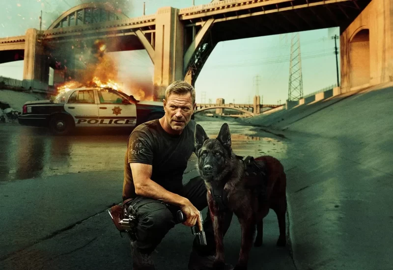 Em "Farejando Vingança", depois que seu cachorro e parceiro é morto, um policial mergulha em um submundo sinistro para descobrir a verdade sobre os responsáveis. Com Aaron Eckhart, Stephen Lang, Diego Tinoco, Leslie Black, Penelope Mitchell, Nick Searcy, Grainger Hines, Luis Chávez e Delissa Reynolds.
