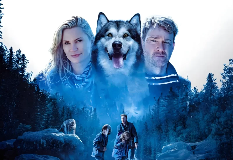 Em "Uma Aventura Animal: A Jornada para Casa", em um barco no meio do nada, um veterano cego precisa encontrar o caminho para casa com a ajuda de um cachorro chamado Chinook. Com Steve Byers, Natasha Henstridge, Zackary Arthur, John Tench e Jeremy Ferdman.