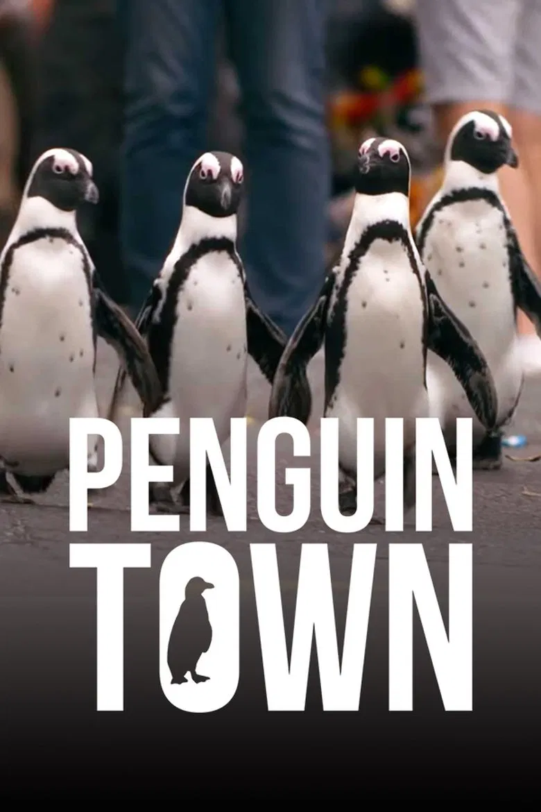 Capa de Cidade Dos Pinguins