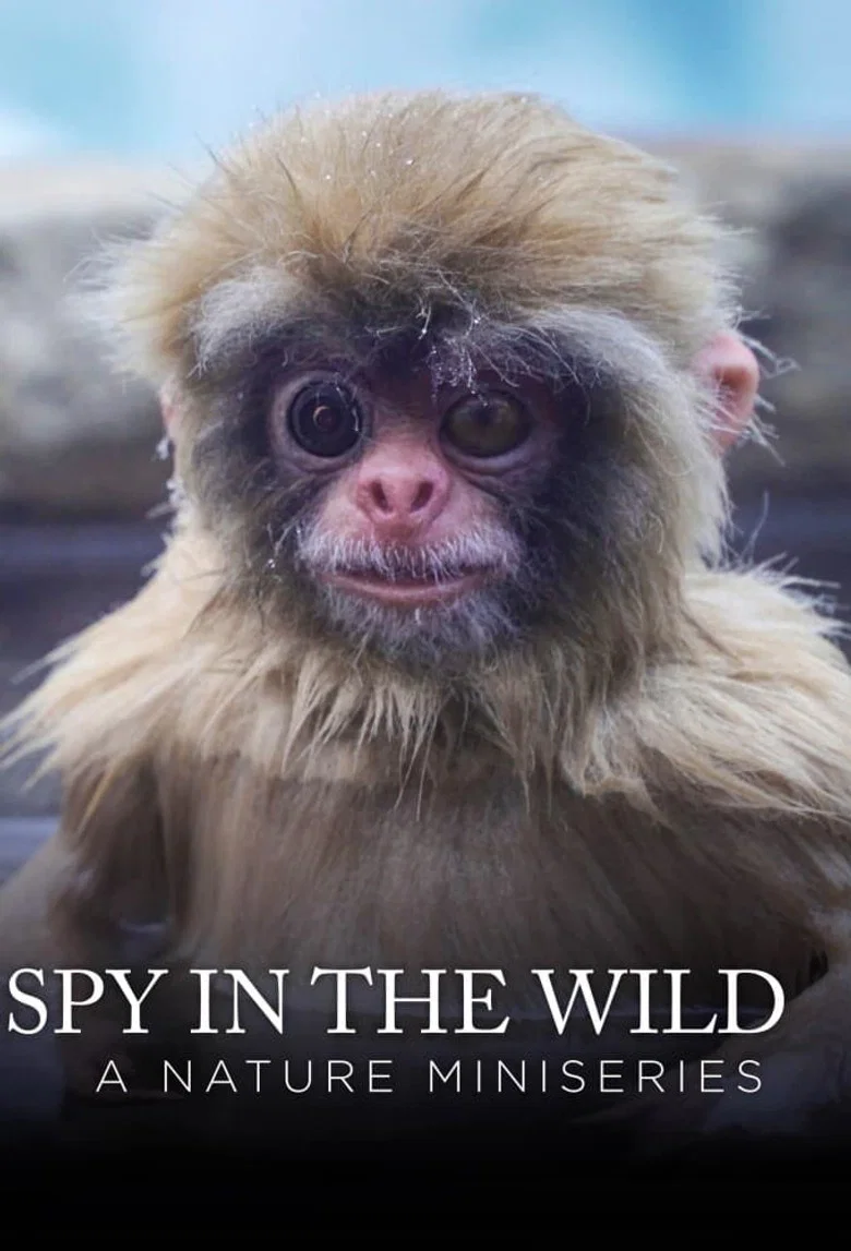 Capa de Spy in the Wild